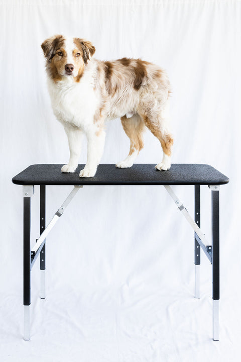 Ultra Light Dog Grooming Tables