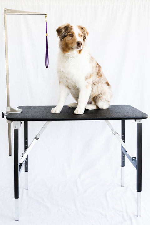 Medium Breed Grooming Table